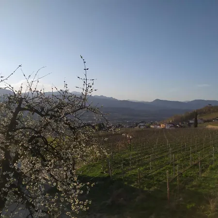 Weingut Lahn Zu Eppan Apartment